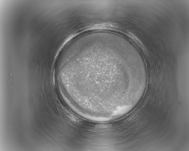 X0000055991224200509162243