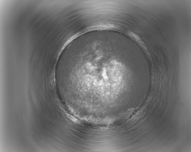 X0000055991226200509162243