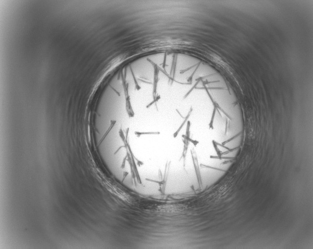 X0000055991227200509162243