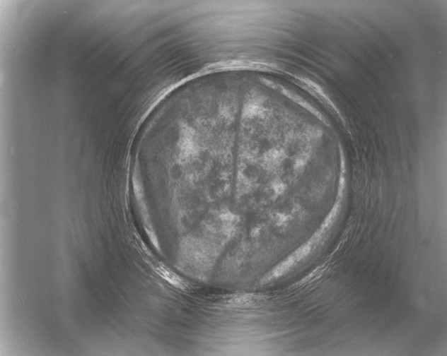 X0000055991228200509162243