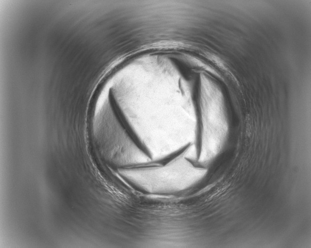 X0000055991229200509162243