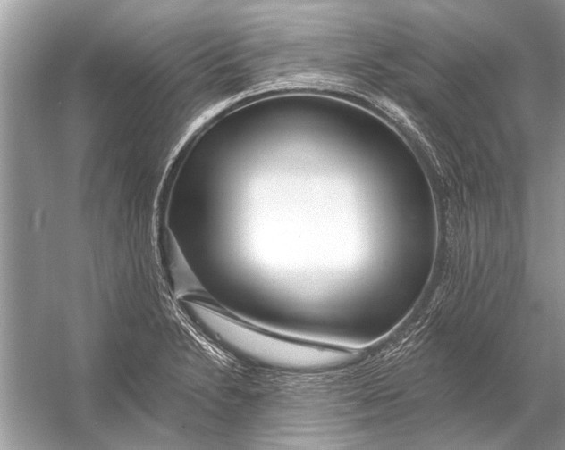 X0000055991230200509162243