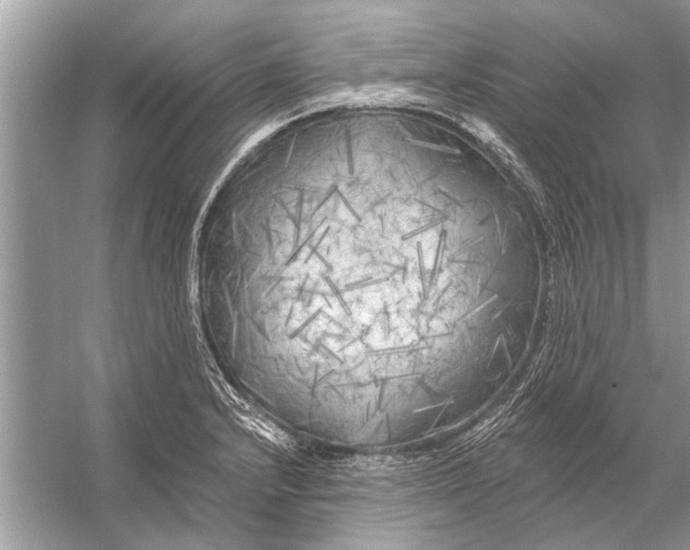 X0000055991232200509162243