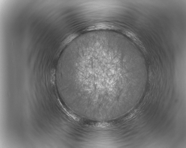 X0000055991233200509162243