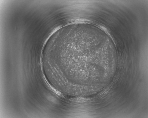 X0000055991235200509162243