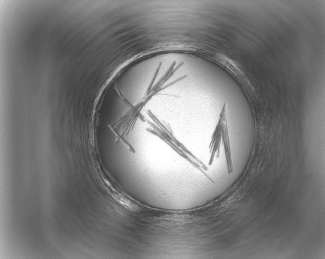 X0000055991236200509162243