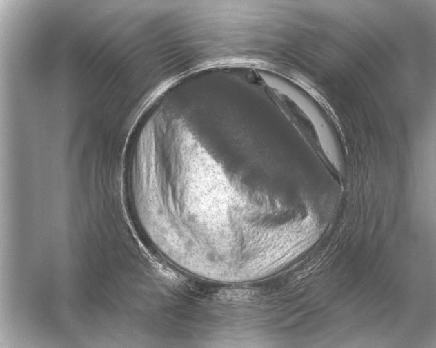 X0000055991237200509162243