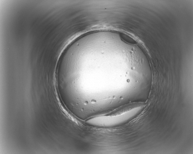 X0000055991239200509162243