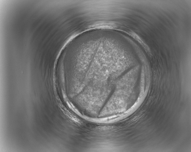 X0000055991240200509162243