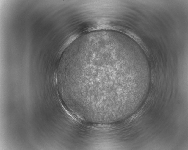 X0000055991241200509162243