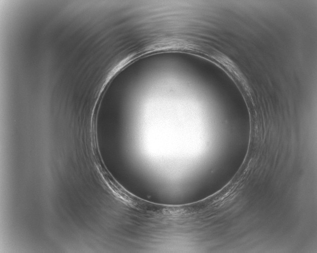 X0000055991242200509162243