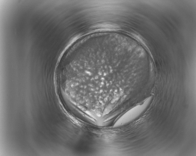 X0000055991243200509162243