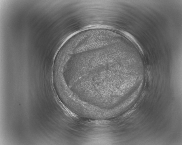 X0000055991244200509162243