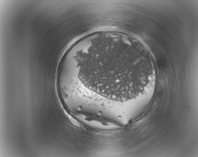 X0000055991245200509162243