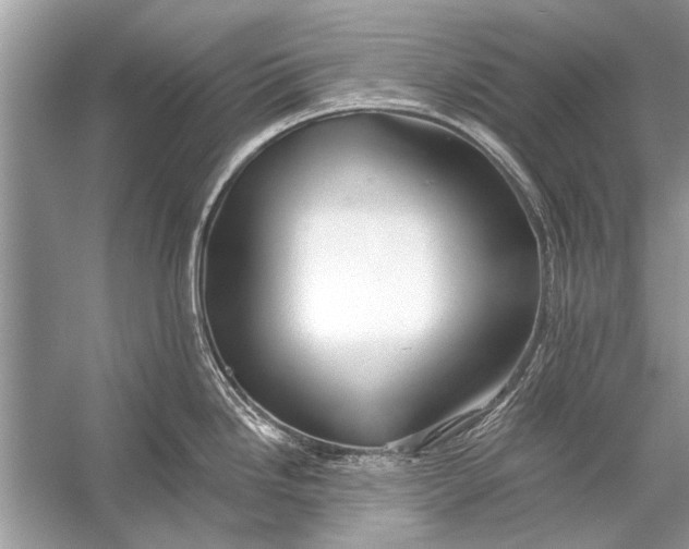 X0000055991246200509162243