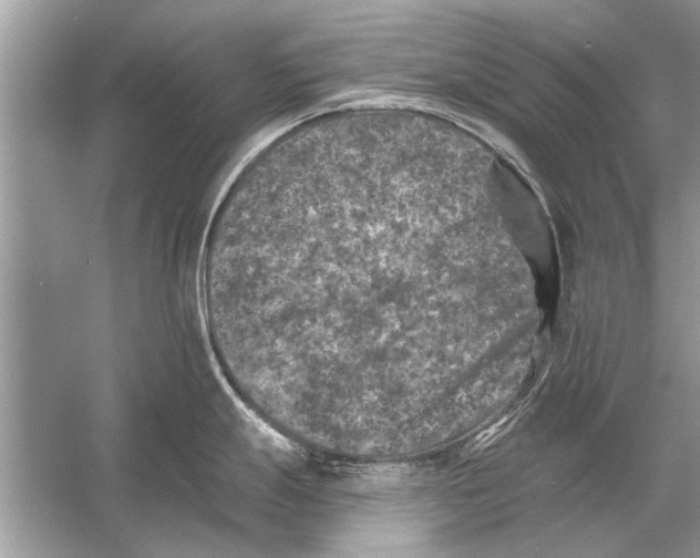 X0000055991247200509162243