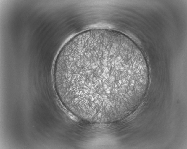 X0000055991248200509162243