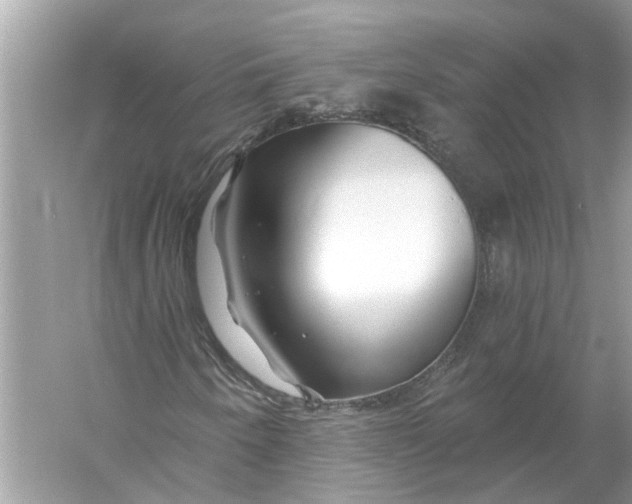 X0000055991250200509162242