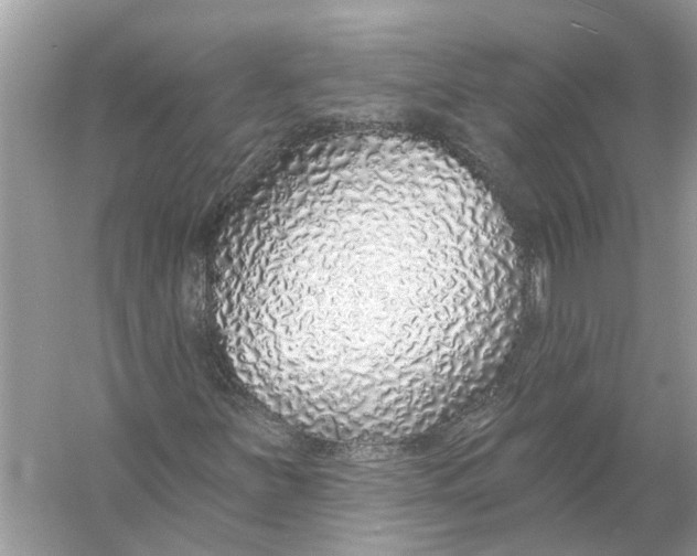 X0000055991251200509162242