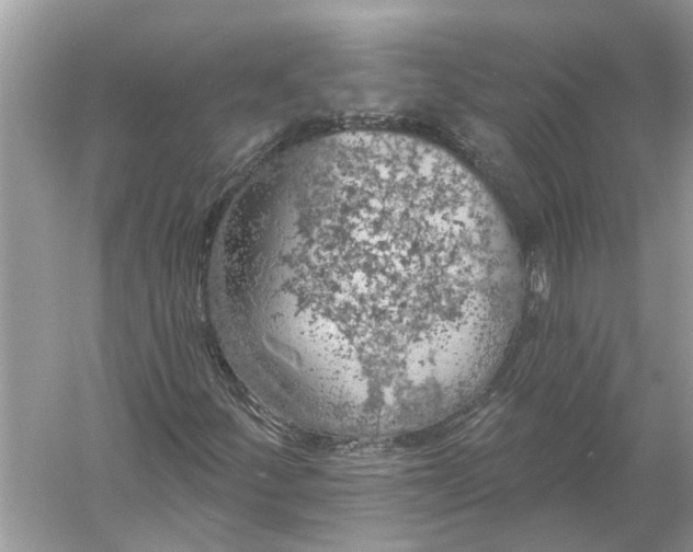 X0000055991252200509162242