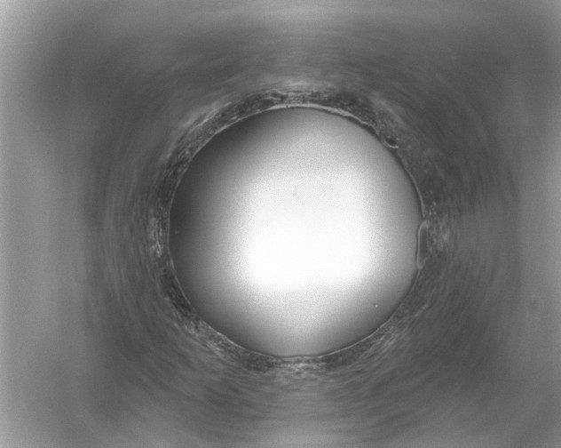 X0000055991253200509162242