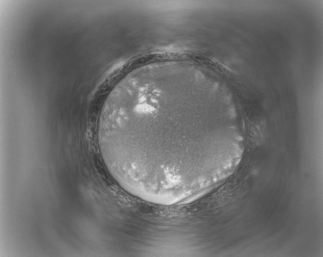 X0000055991254200509162242