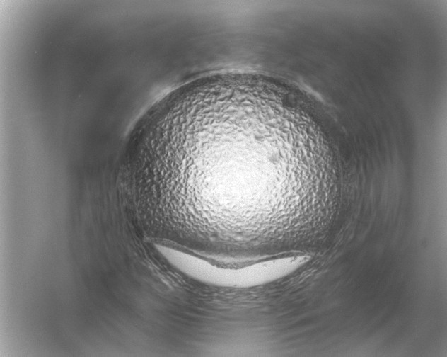 X0000055991255200509162242