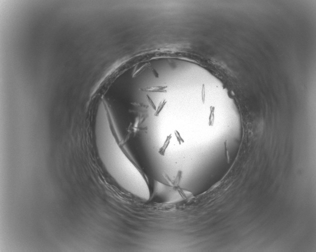 X0000055991256200509162242