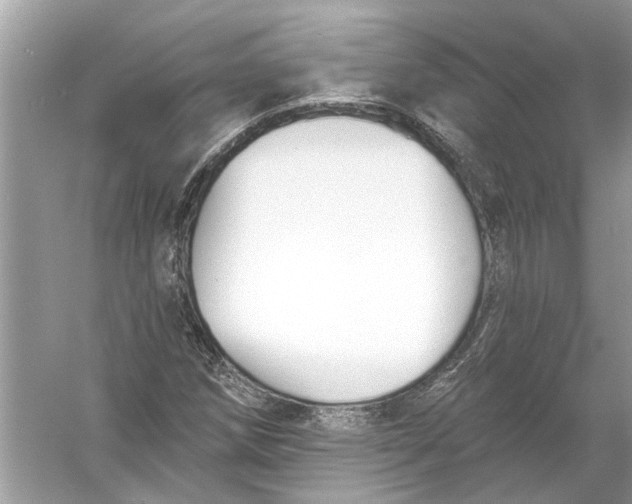 X0000055991258200509162242