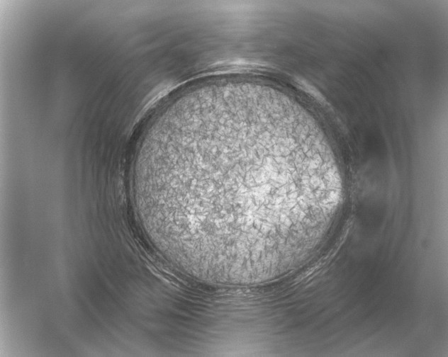 X0000055991259200509162242