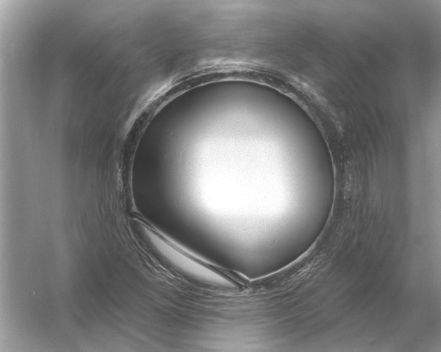 X0000055991261200509162242