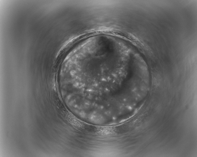 X0000055991262200509162242