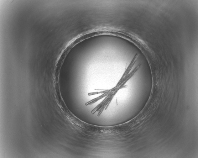 X0000055991264200509162242