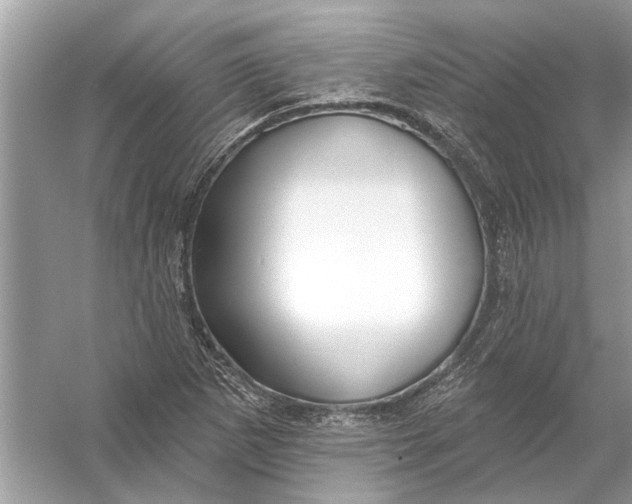 X0000055991265200509162242