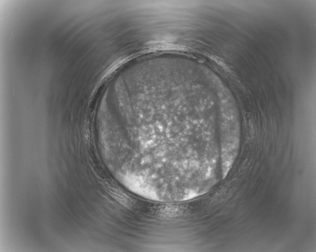 X0000055991266200509162242