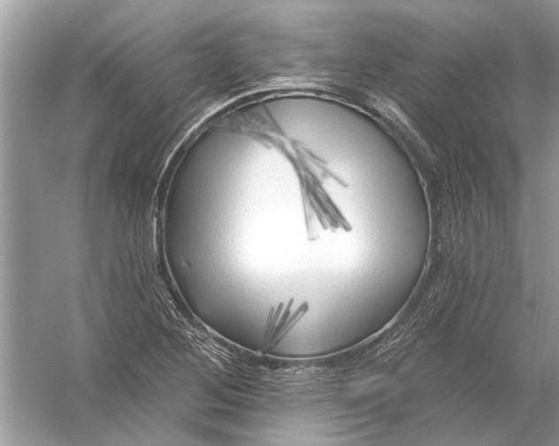 X0000055991268200509162242