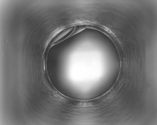 X0000055991269200509162242