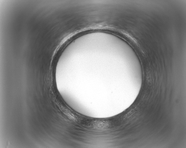 X0000055991270200509162242