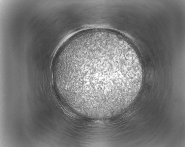 X0000055991271200509162242