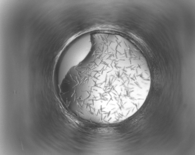 X0000055991272200509162242