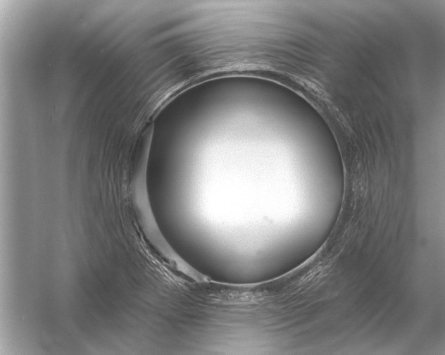 X0000055991273200509162242