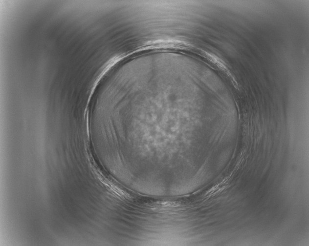 X0000055991275200509162242