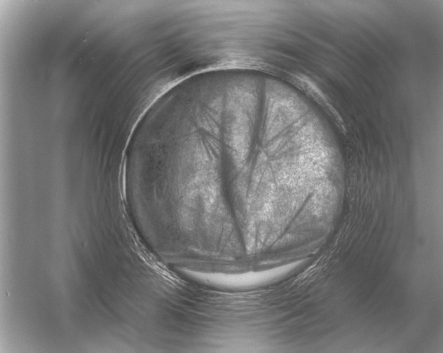 X0000055991276200509162242