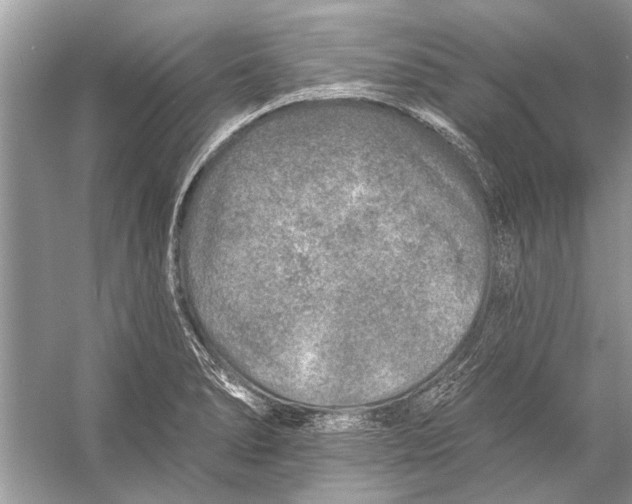 X0000055991278200509162242