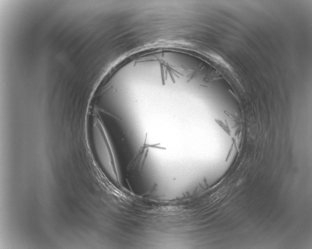 X0000055991280200509162242