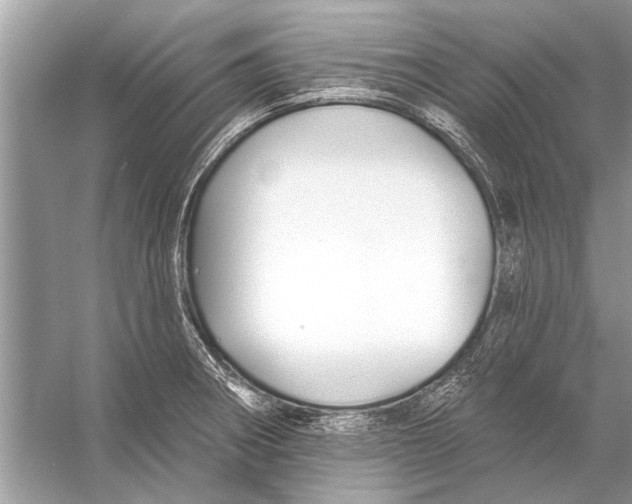 X0000055991282200509162242