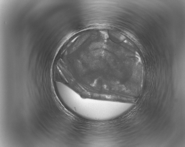 X0000055991283200509162242