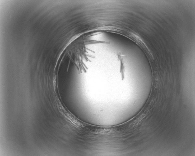 X0000055991284200509162242