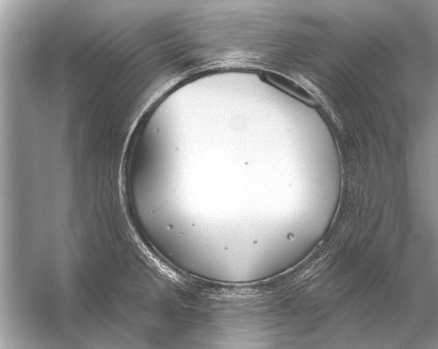 X0000055991285200509162242