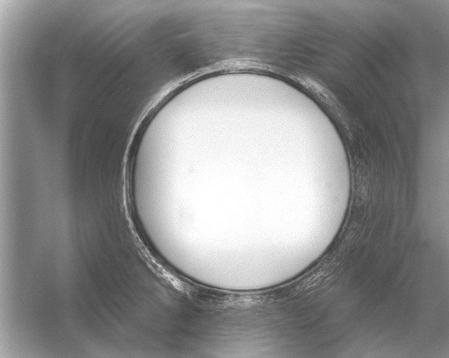 X0000055991286200509162242